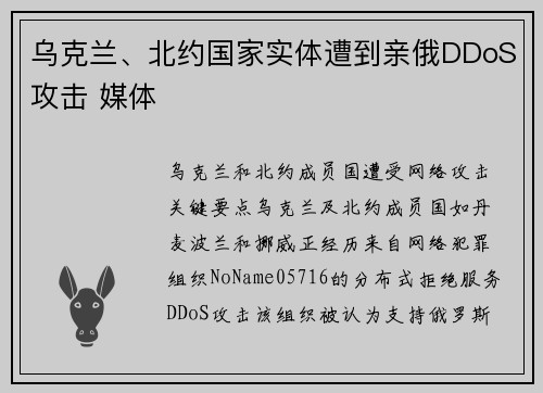 乌克兰、北约国家实体遭到亲俄DDoS攻击 媒体