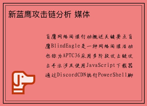 新蓝鹰攻击链分析 媒体